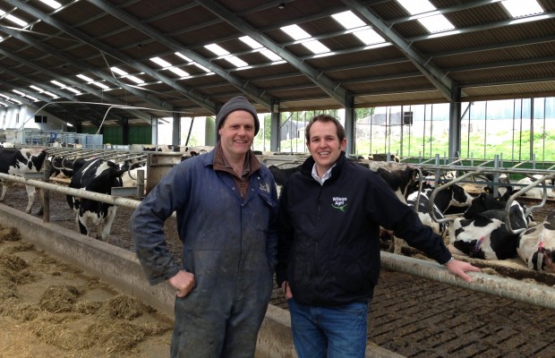 Carmarthenshire Dairy unit at Penygraig | Wilson Agri