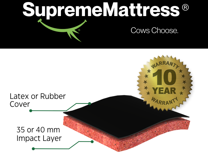 SupremeMattress (1)